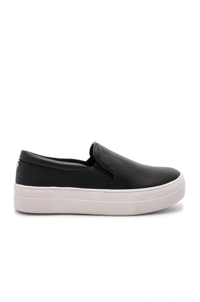 Shop Steve Madden Gills Sneaker In Black