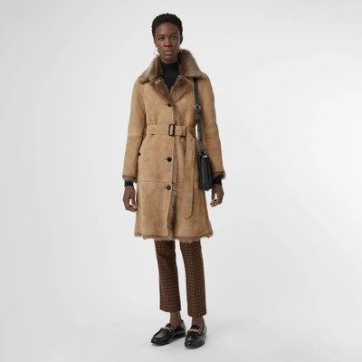 Burberry Thetsford Shearling Coat In Camel | ModeSens