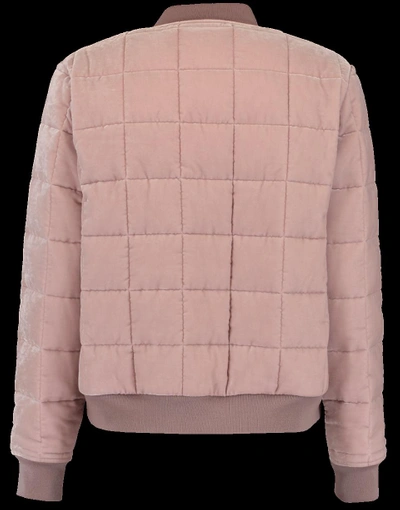 Shop Stella Mccartney Quilted Velvet Bomber Jacket In Rosa