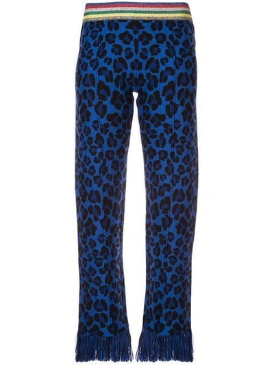 Shop Alanui Leopard Intarsia Knit Trousers - Blue