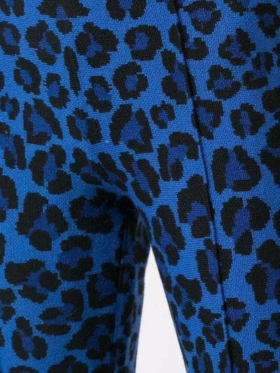 leopard intarsia knit trousers