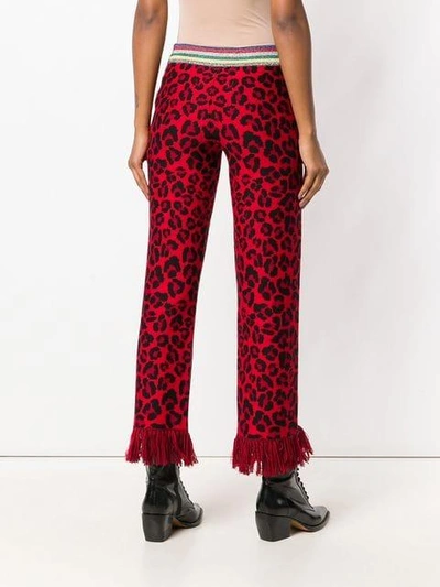 Shop Alanui Fringed Leopard Print Trousers In Red