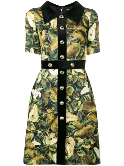 Shop Dolce & Gabbana Pear-print Midi Dress - Green