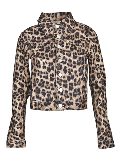 Shop Miaou Leopard Print Jacket In Leopardato