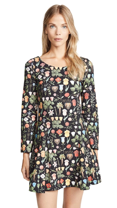 Shop Samantha Pleet Fleur Dress In Black Blossom