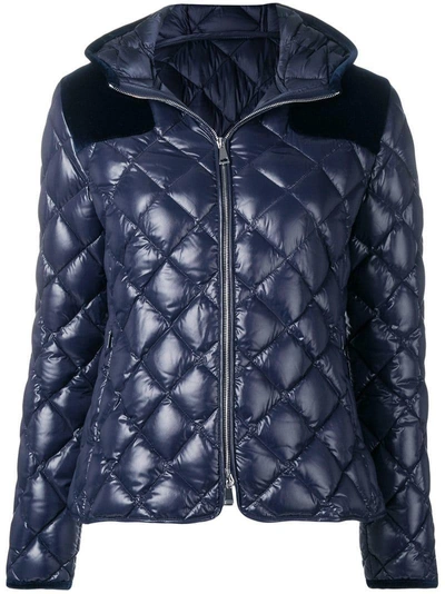 Shop Moncler Padded Jacket - Blue