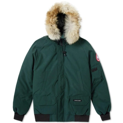 Shop Canada Goose Chilliwack Bomber Jacket In Green