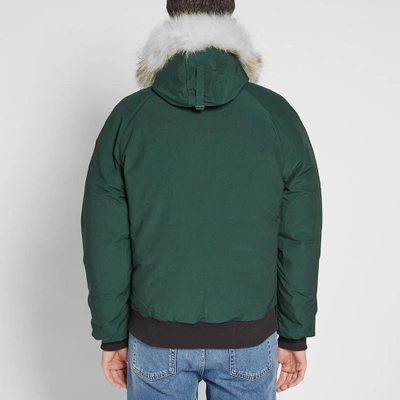 Shop Canada Goose Chilliwack Bomber Jacket In Green