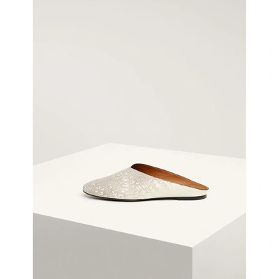 Shop Joseph Nico Ballet Mule