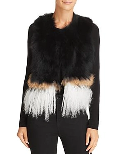 Shop 525 America Real Asiatic Raccoon Fur & Mongolian Lamb Vest In Black Multi