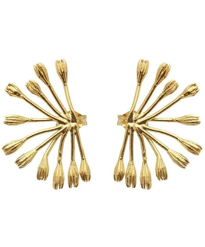 Shop Alex Monroe Gold-plated Fanned Seed Pod Stud Earrings