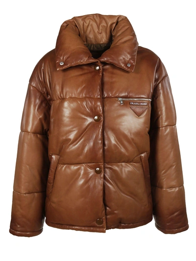 Shop Prada Logo Padded Jacket In Palissandro