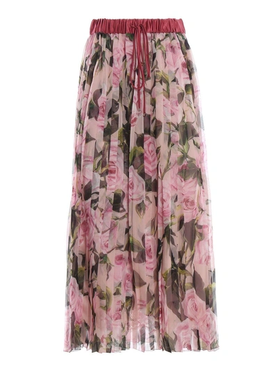 Shop Dolce & Gabbana Floral Pleated Skirt In H2i1f Rose Rosa Fdo Nudo