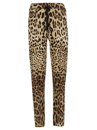 Shop Dolce & Gabbana Leopard Print Trousers In Multicolor