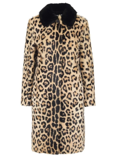 Shop Red Valentino Leopard Print Coat In Multi