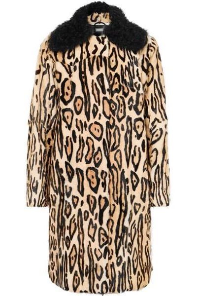 Shop Utzon Leopard-print Shearling Coat In Leopard Print