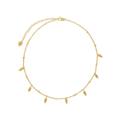 Shop Missoma Leaf 18kt Gold Vermeil Choker