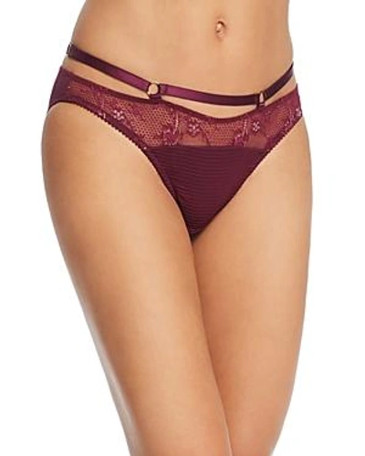 Shop Dita Von Teese Madame X Lace Strappy Bikini In Dark Cherry