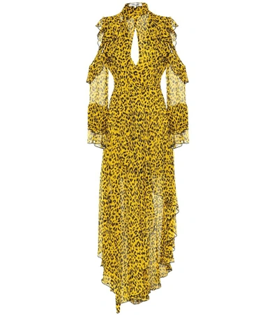 Shop Diane Von Furstenberg Heyford Leopard Silk Maxi Dress In Yellow