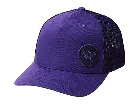 arcteryx patch trucker hat