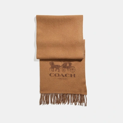 Shop Coach Signature Cashmere Scarf - Men's In Camel/saddle