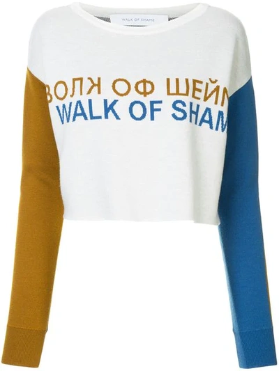 Shop Walk Of Shame Logo Knit Jumper In Grey