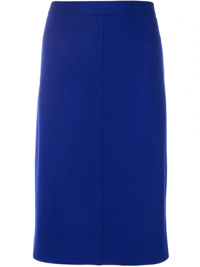 SALVATORE FERRAGAMO VINTAGE 古着修身铅笔半身裙 - 蓝色
