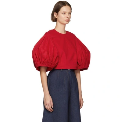 Shop Edit Red Balloon Sleeve Cropped Blouse