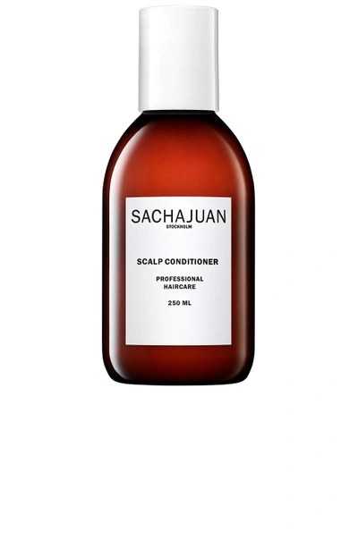 Shop Sachajuan Scalp Conditioner In N,a