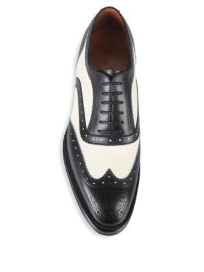 Shop Bally Schubert Wingtip Leather Oxfords In Black