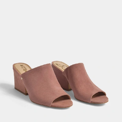 Shop Sam Edelman Rheta Open Toe Mule Shoes In Dusty Rose Kid Suede