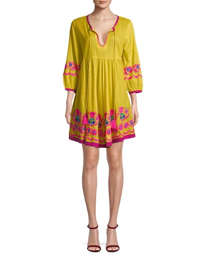 Shop Christophe Sauvat Collection Christopher Sauvat Cordoba Embroidered Tunic Dress In Nocolor
