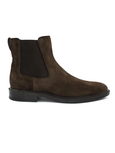 Shop Tod's Ankle Boot In Brown Suede. In Testa Di Moro