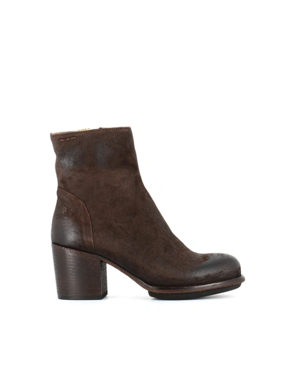 Shop Alexander Hotto Ankle Boot "54644x" In Brown