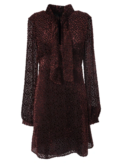 Shop Saint Laurent Devore Mini Dress In Bordeaux