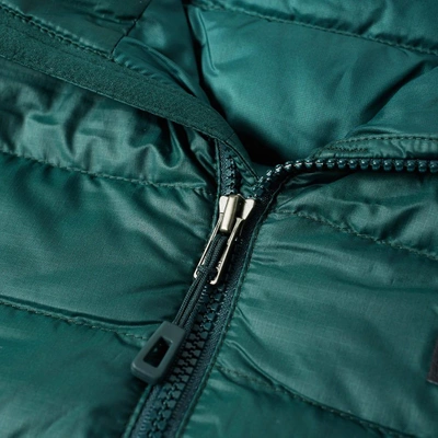 Shop Patagonia Down Sweater Jacket In Green