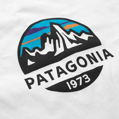 Shop Patagonia Fitz Roy Scope Organic Tee In White