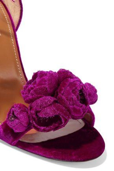 Shop Aquazzura Woman Wild Flower Appliquéd Velvet Sandals Magenta
