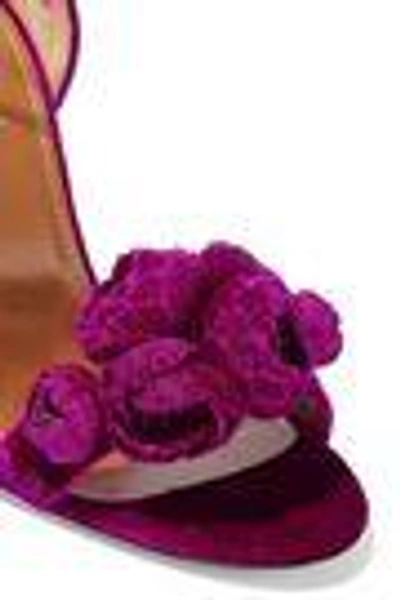 Shop Aquazzura Woman Wild Flower Appliquéd Velvet Sandals Magenta