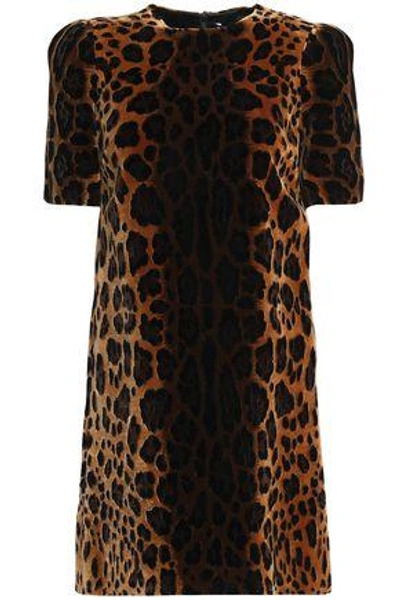 Shop Dolce & Gabbana Woman Leopard-print Silk-blend Velvet Mini Dress Animal Print