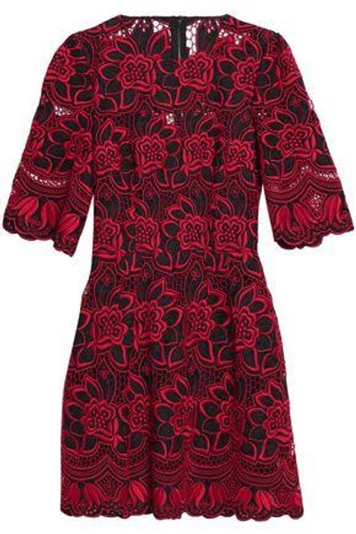 Shop Dolce & Gabbana Woman Embroidered Cotton-blend Jacquard Mini Dress Red