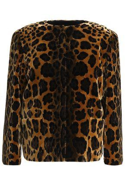 Shop Dolce & Gabbana Woman Leopard-print Velvet Jacket Animal Print