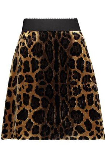 Shop Dolce & Gabbana Leopard-print Velvet Mini Skirt In Animal Print