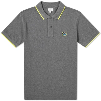 Shop Kenzo Tiger Polo In Grey