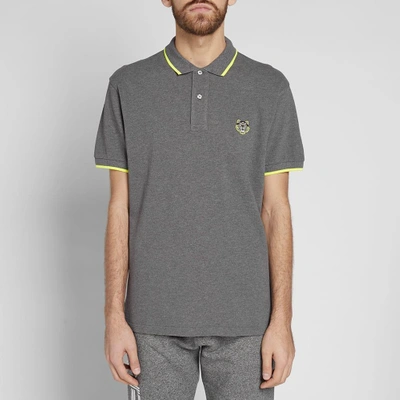 Shop Kenzo Tiger Polo In Grey