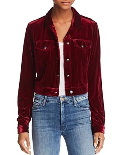 Shop Aqua Velvet Jacket - 100% Exclusive In Burgundy