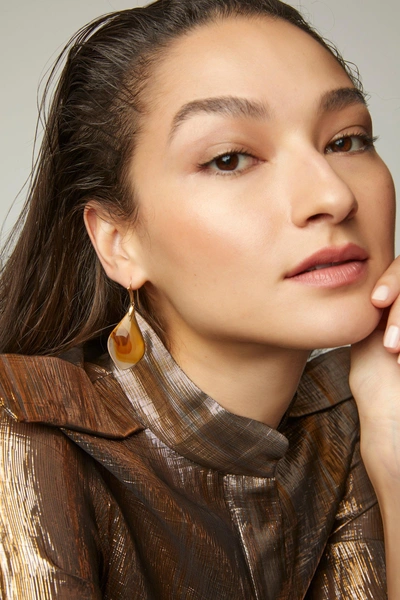 Shop Annette Ferdinandsen 18k Gold Agate Earrings In Brown