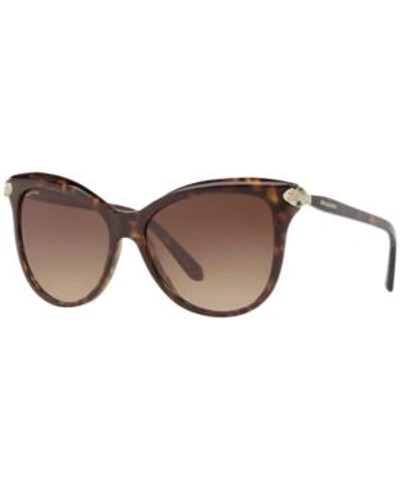 Shop Bvlgari Sunglasses, Bv8188b In Tortoise/brown Gradient