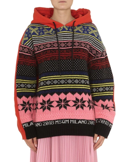 Shop Msgm Hooded In Multicolor