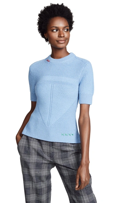 Shop Carven Ss Sweater In Blue